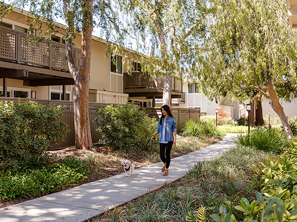 The Markham Apartments Image 3