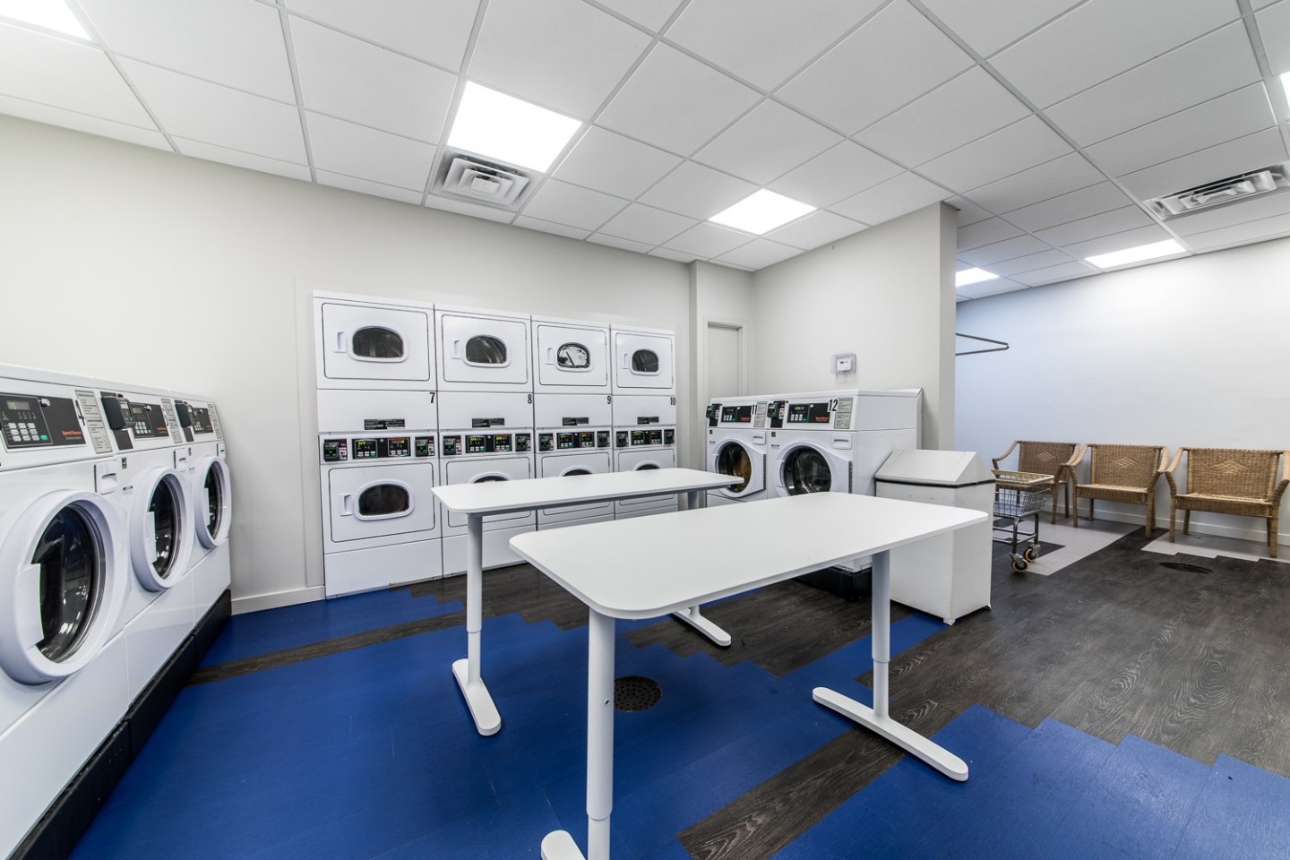 Dorchester Image 20