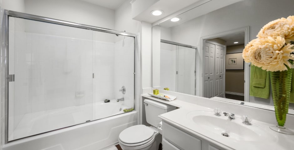The Lanesborough Apartments Image 21