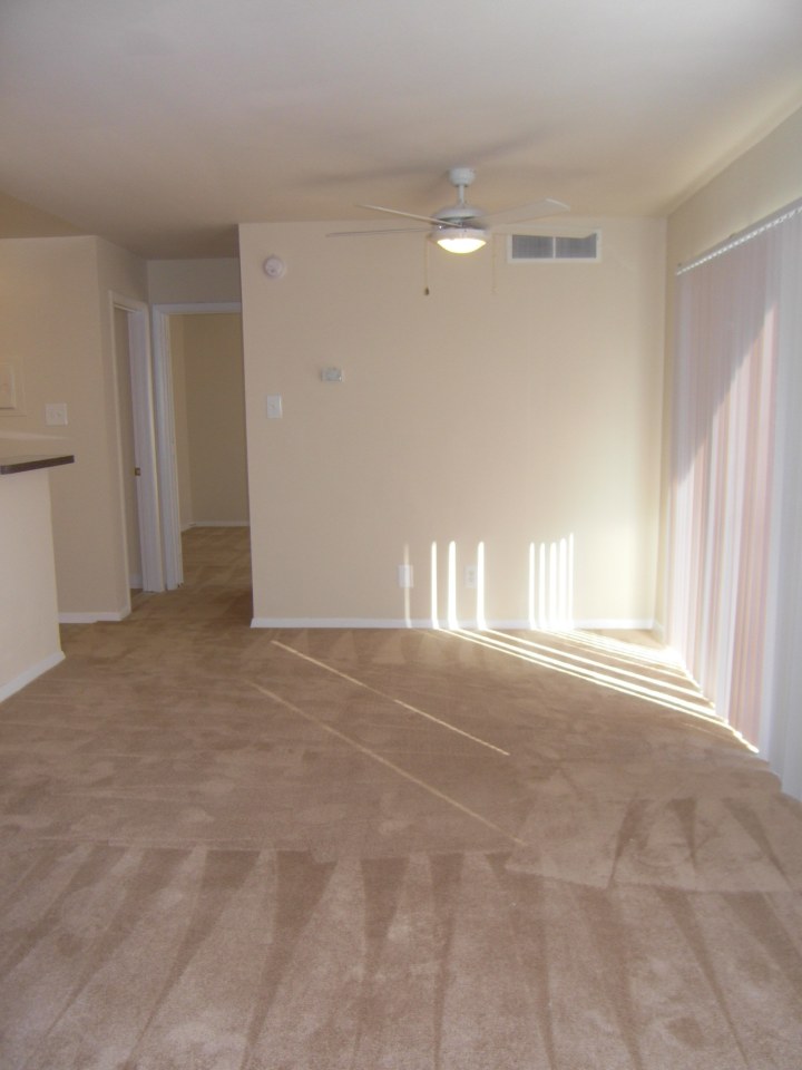 Clermont Apartments Image 4