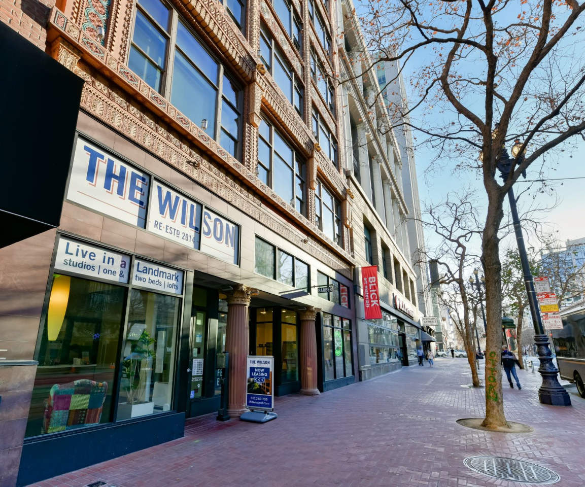 The Wilson Image 12
