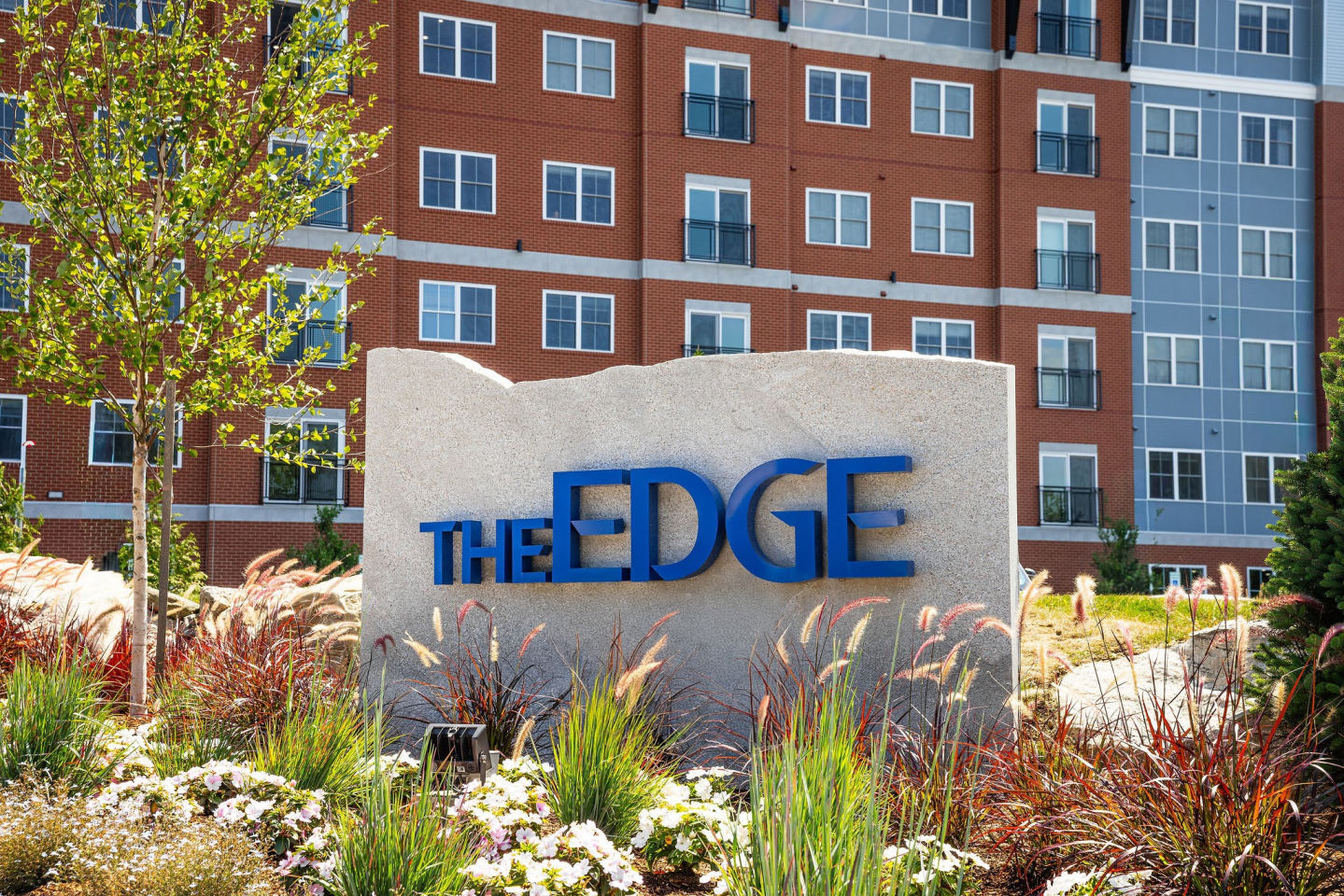 The Edge Apartments Image 15