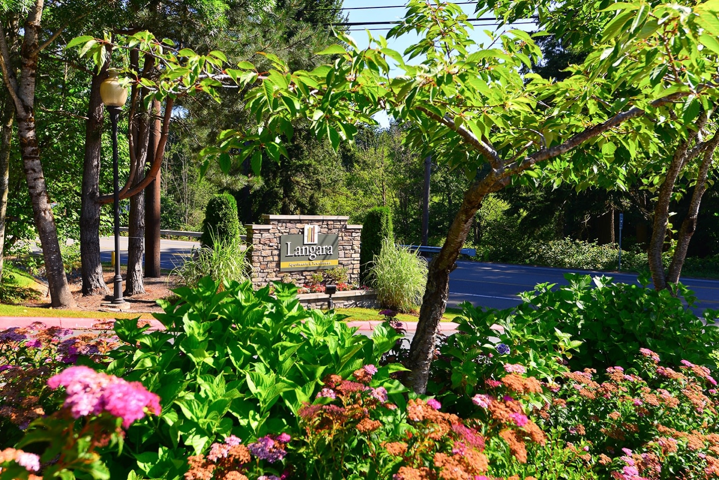 Langara Image 30