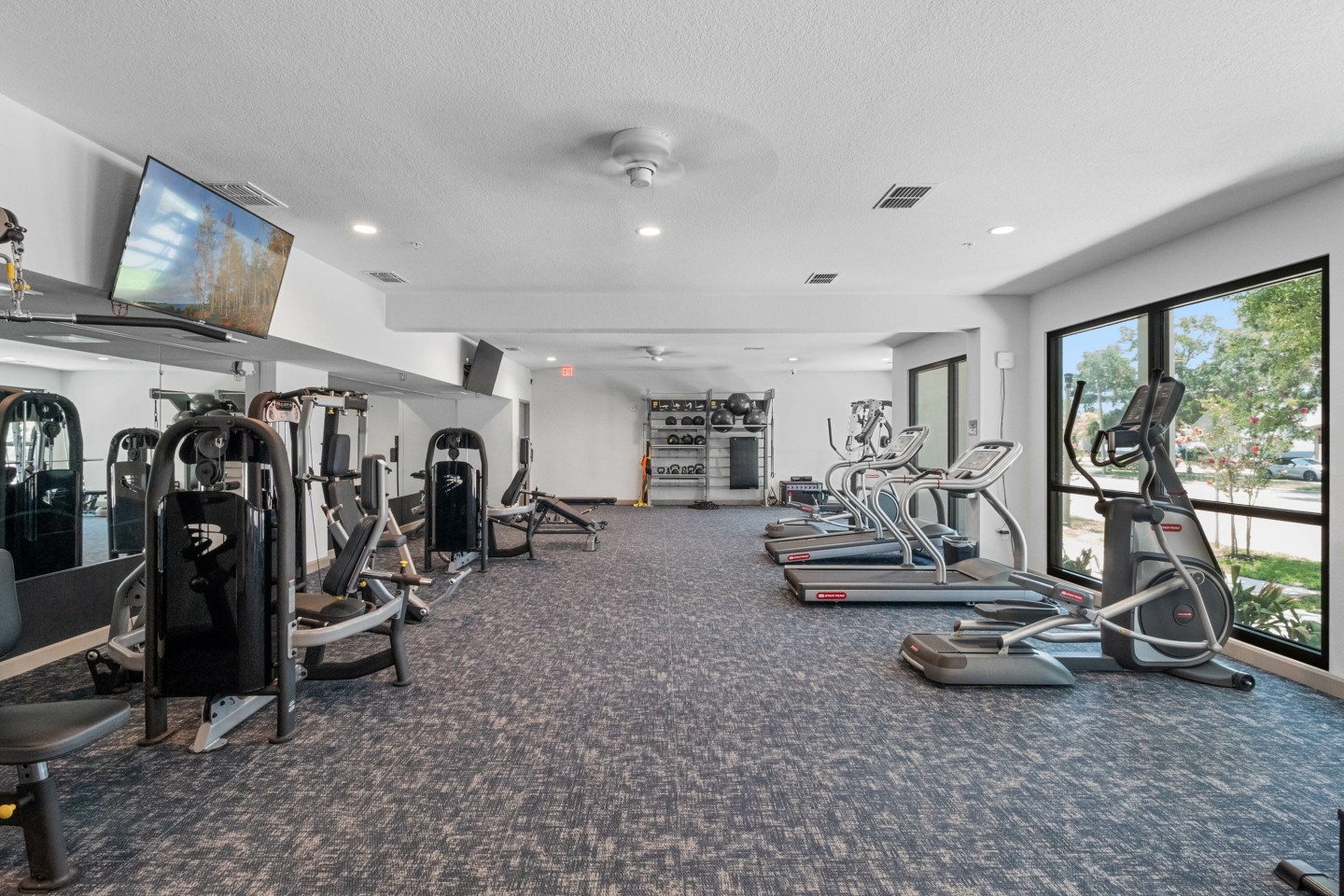 Gallery 3100 Image 33