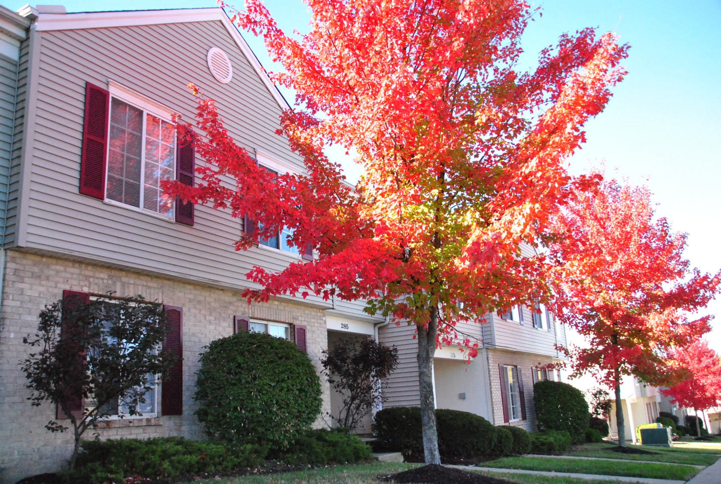 Meadow View Apartments & Townhomes Image 12