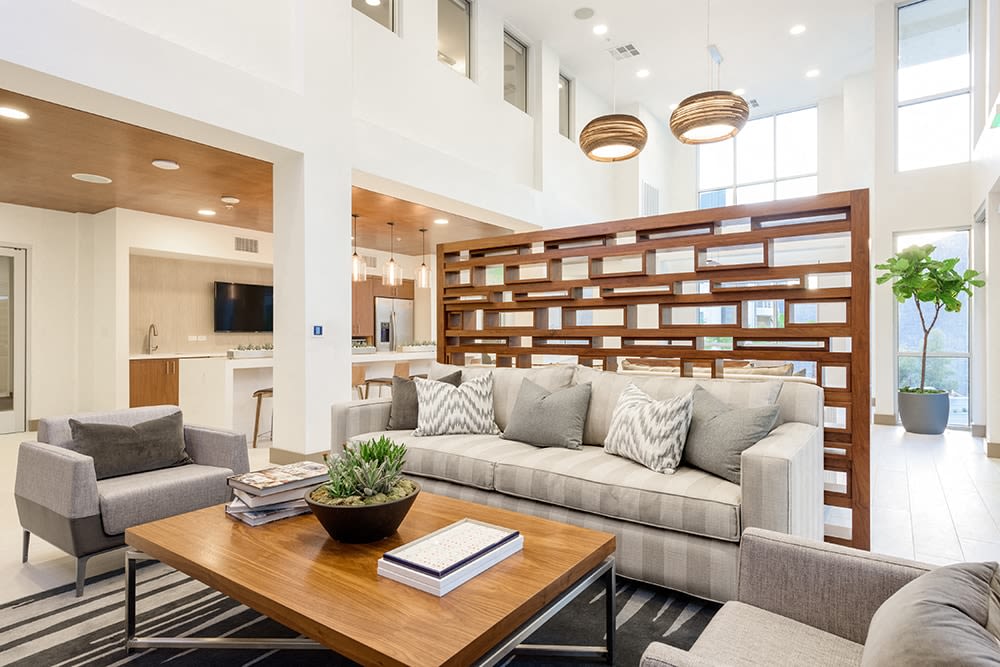 Apex Laguna Niguel Image 21