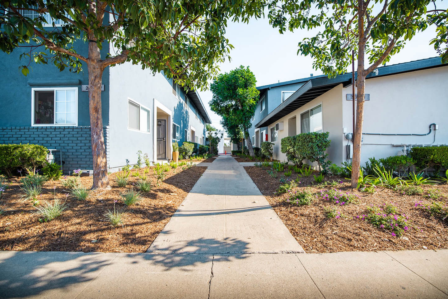 Orange Grove Townhomes Image 3