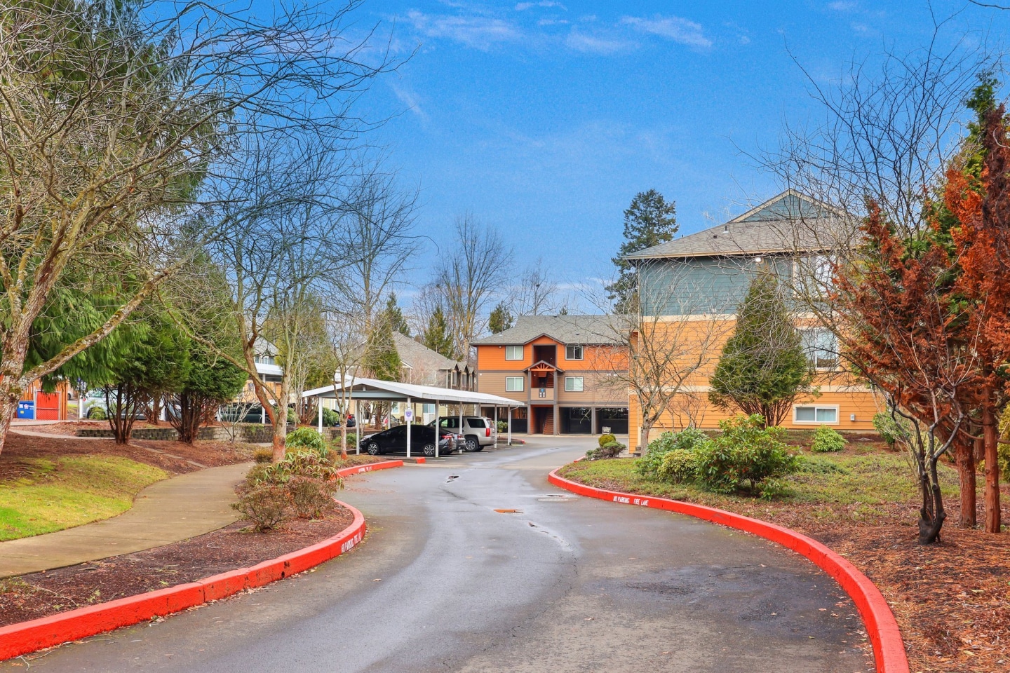 Zachary Park Image 6