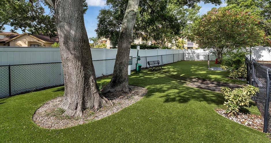 Promenade at Belleair Image 23