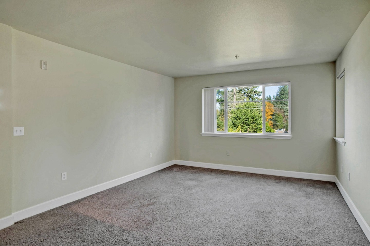 Forest Hills Image 8