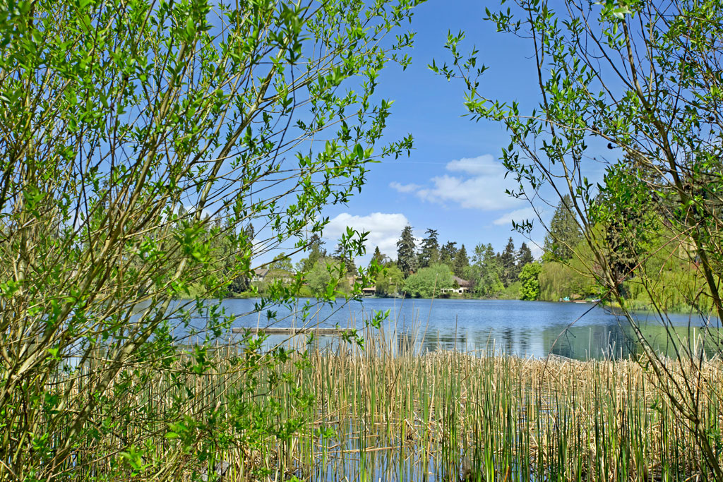 Echo Lake Apartments Image 6