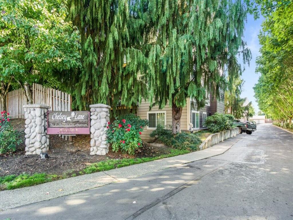 Chelsey Lane Image 40