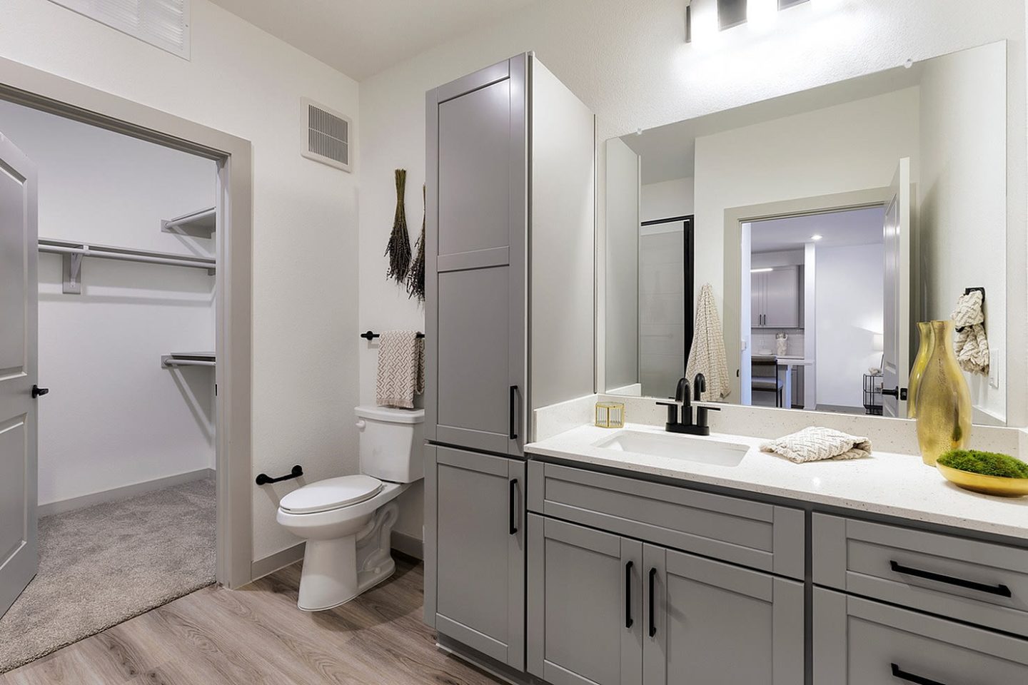 The Luxe at Lewisville Age 55+ Active Adult Apartment Homes Image 13