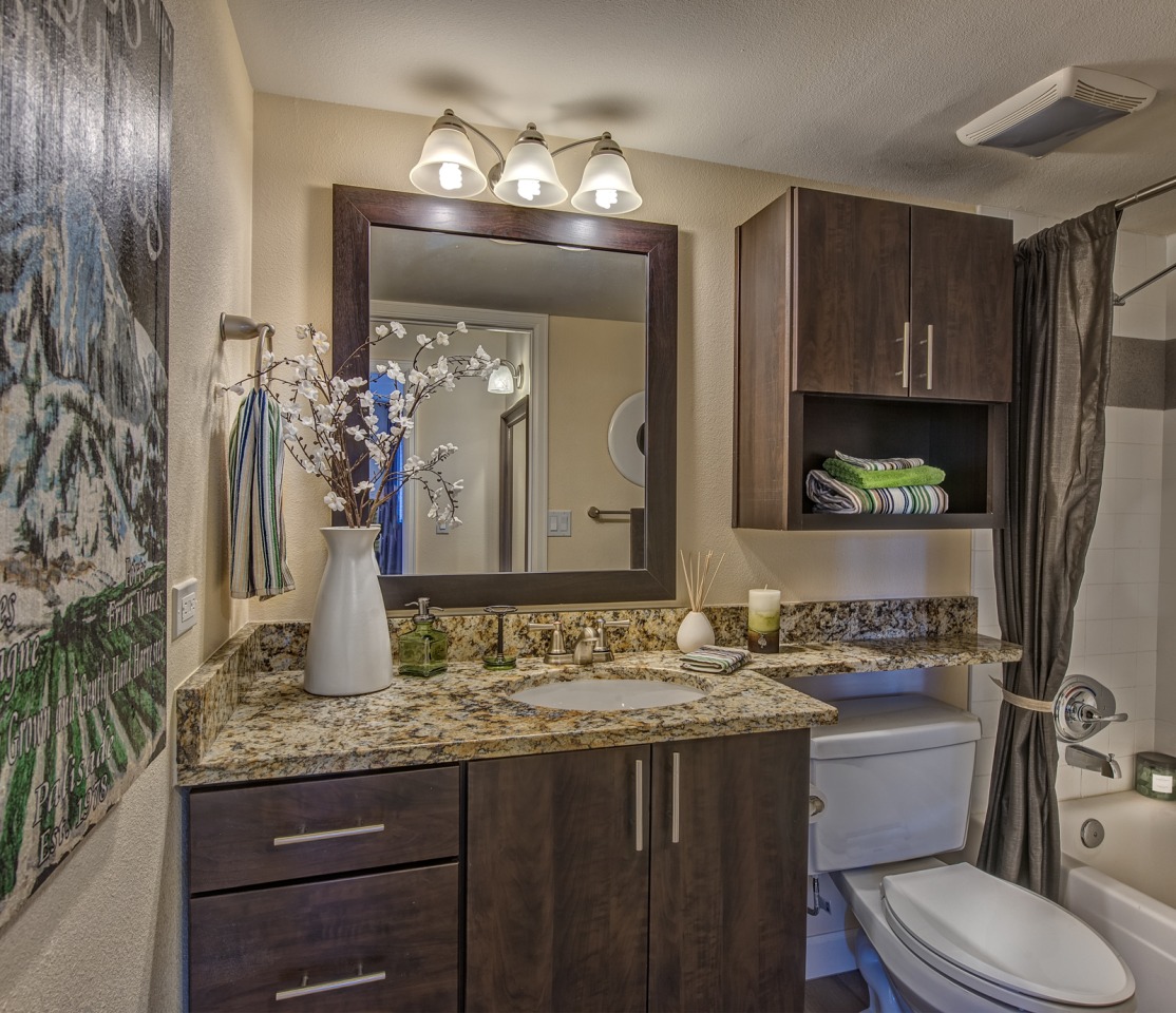 Skyline 1801 Image 6