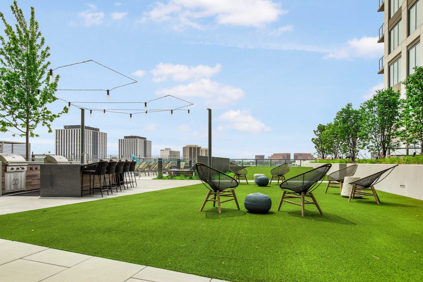 One Oak Brook Commons Image 29