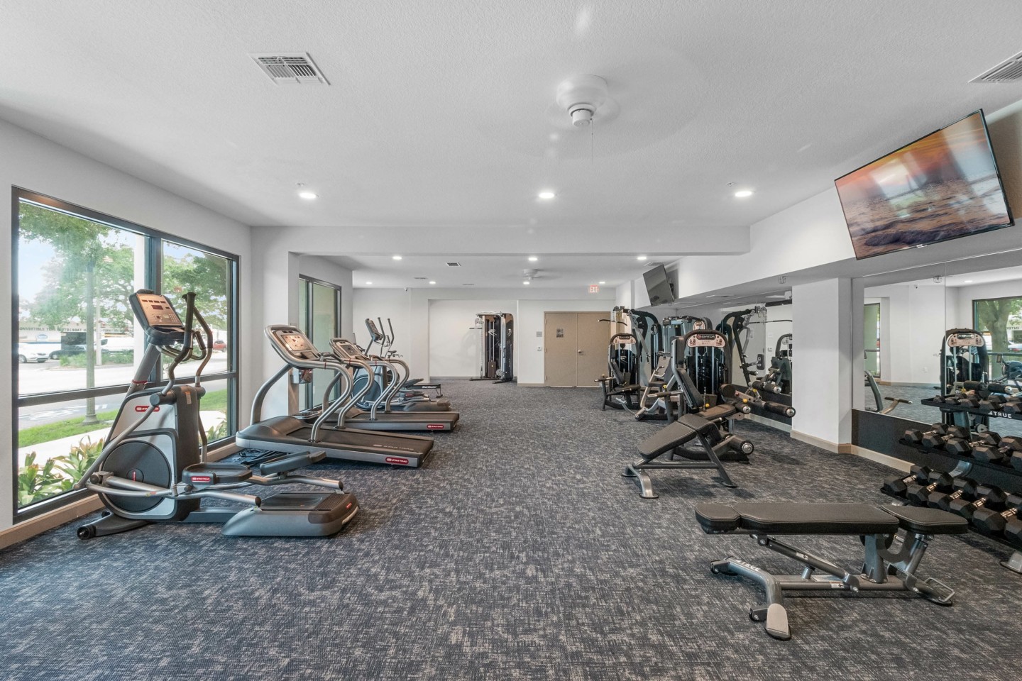 Gallery 3100 Image 30