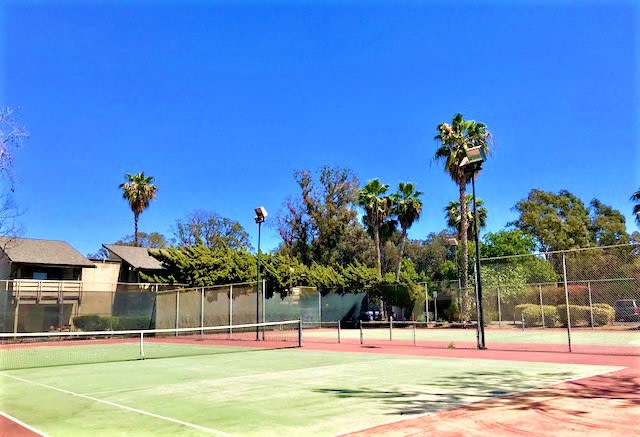 Newport Village Image 9
