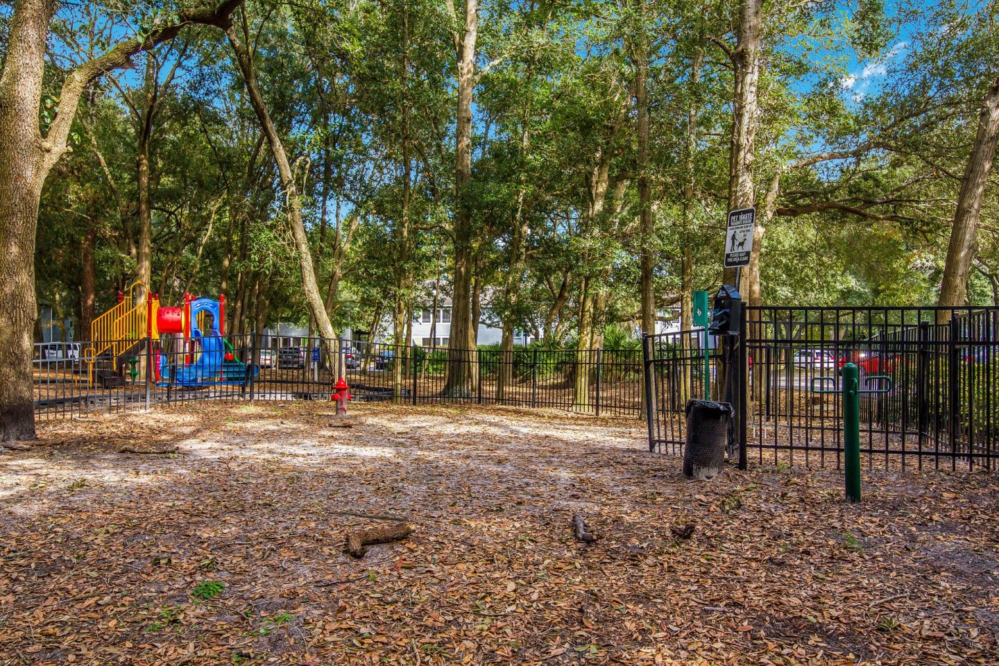 Arium St. Johns Image 19
