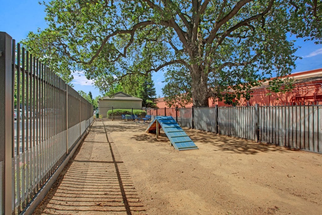 Broadleaf Apartments Image 101