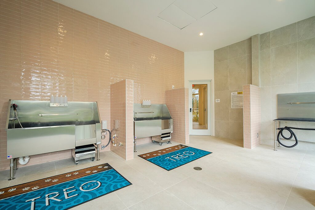 Treo Apartments Image 23