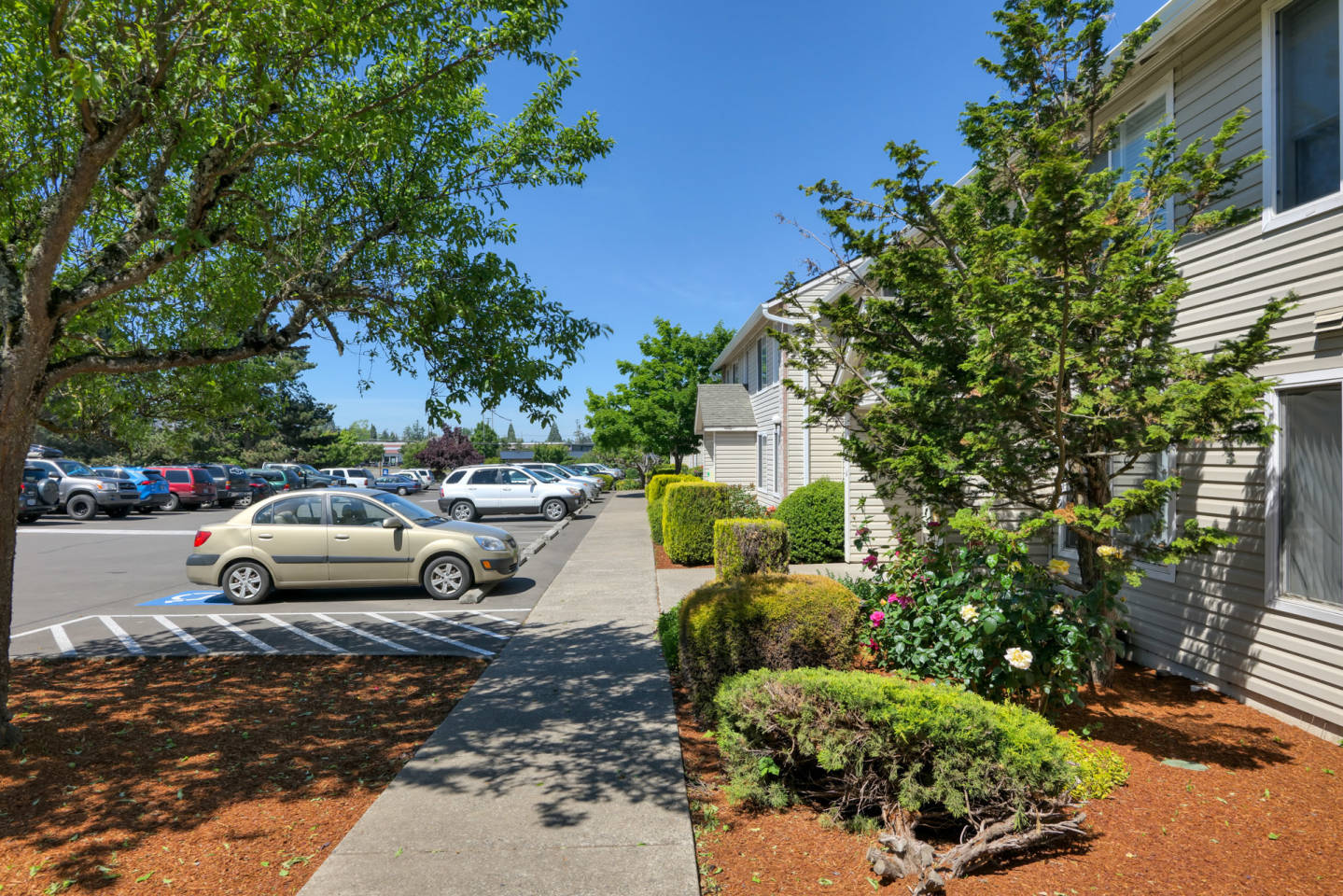Pacific Crest Apartments Image 28