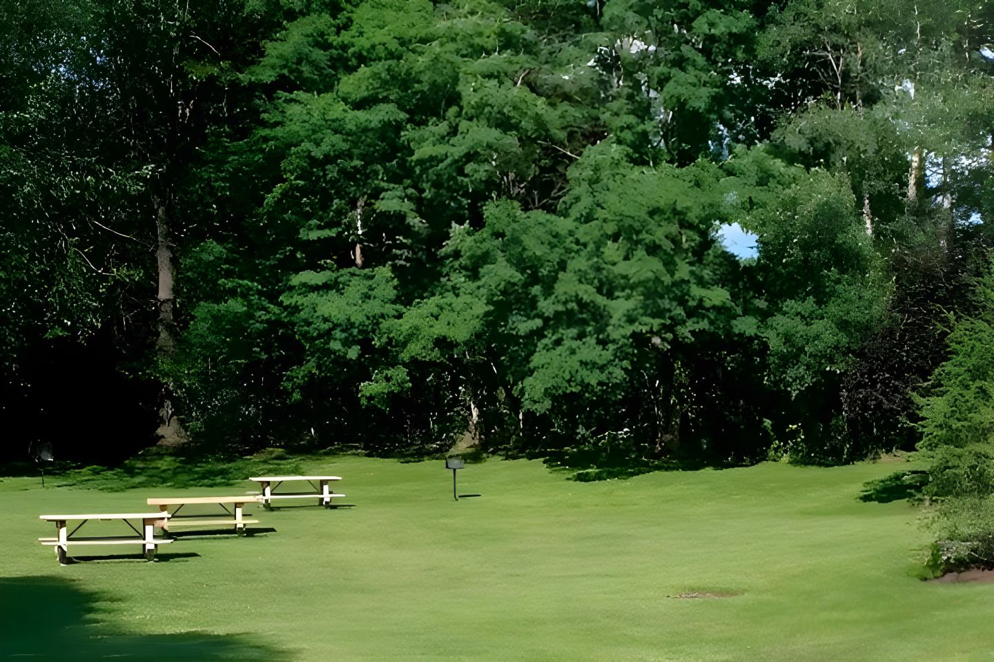 Court Royale Image 12