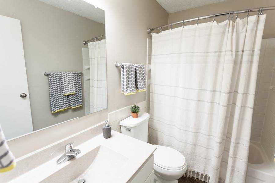 Talus Apartments Image 6