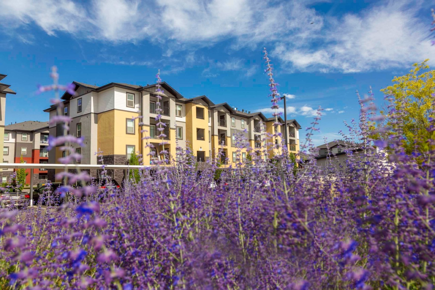 Oquirrh Hills Image 22