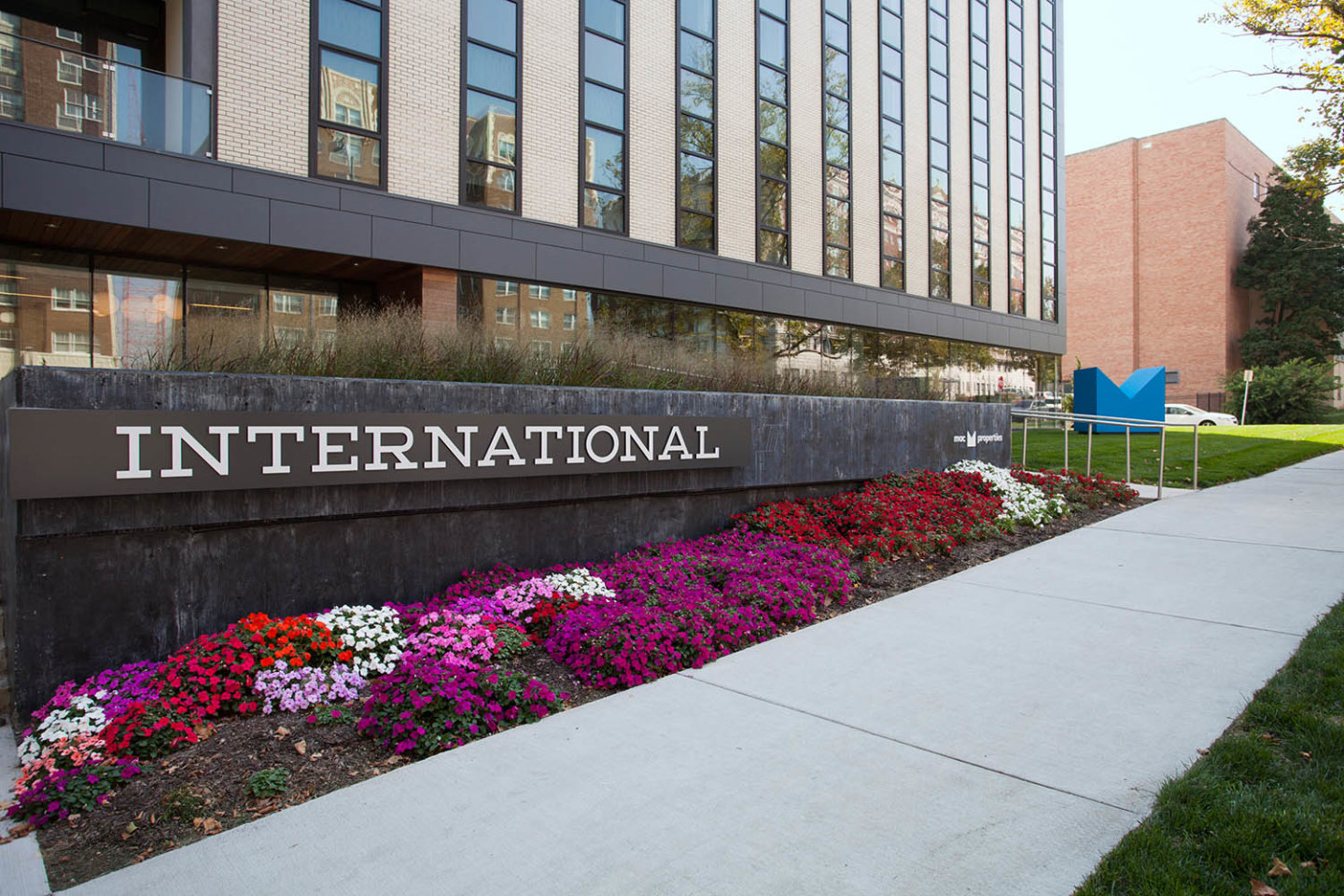 International Image 5