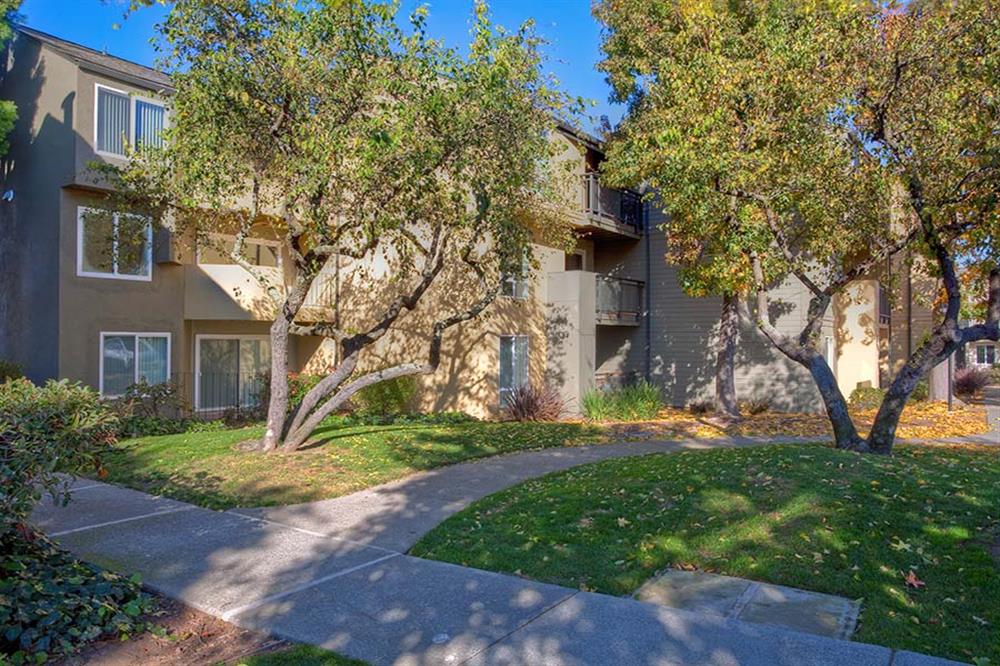 View at Marin Apartments Image 8