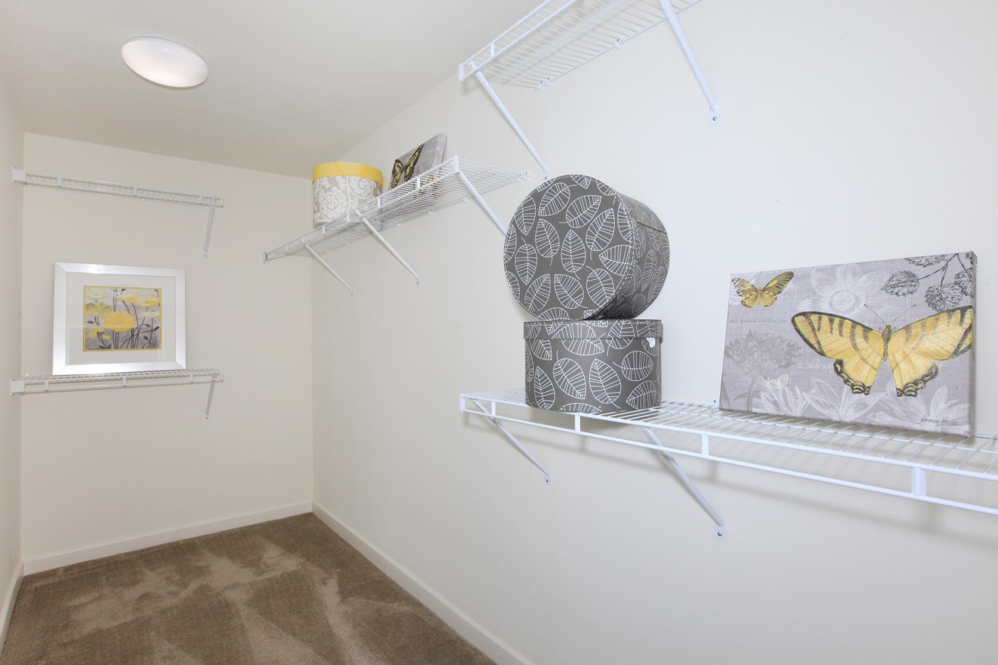 Paseos At Magnolia Luxury Apartment Homes Image 118