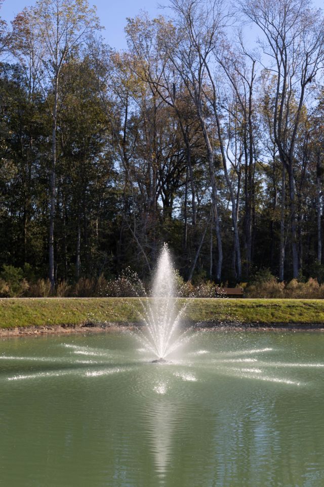 Chamberlain Pine Townhomes Image 42