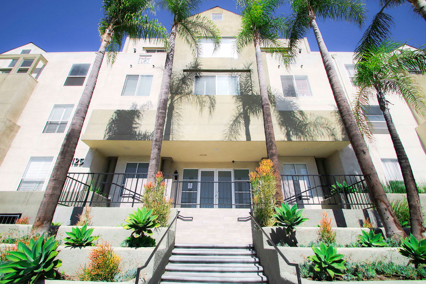 Palms Court Image 26