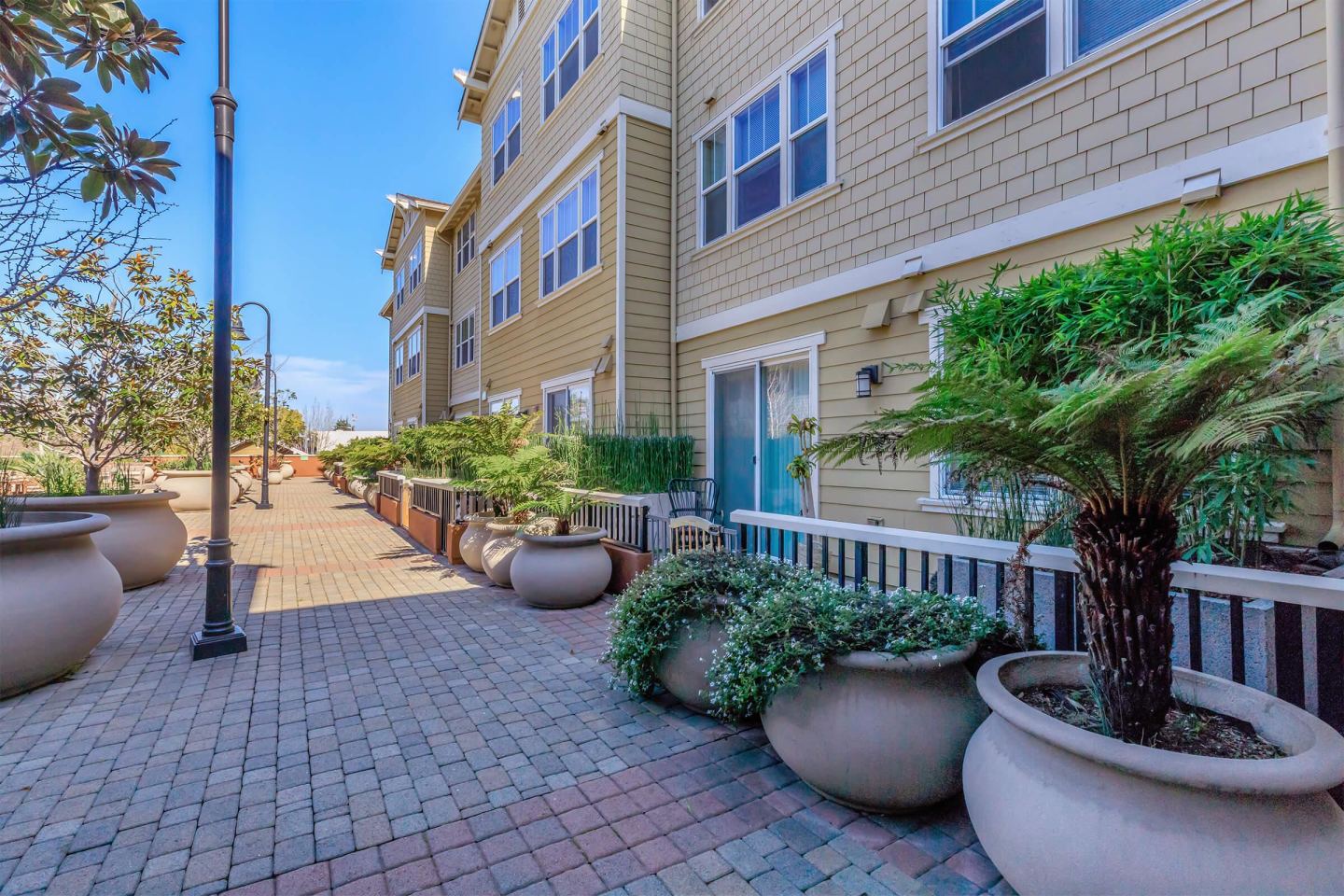 Oak Walk Image 79