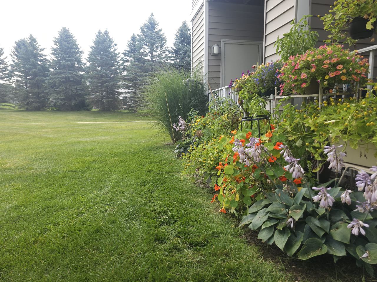 Oakhaven Manor - Senior Living Image 19