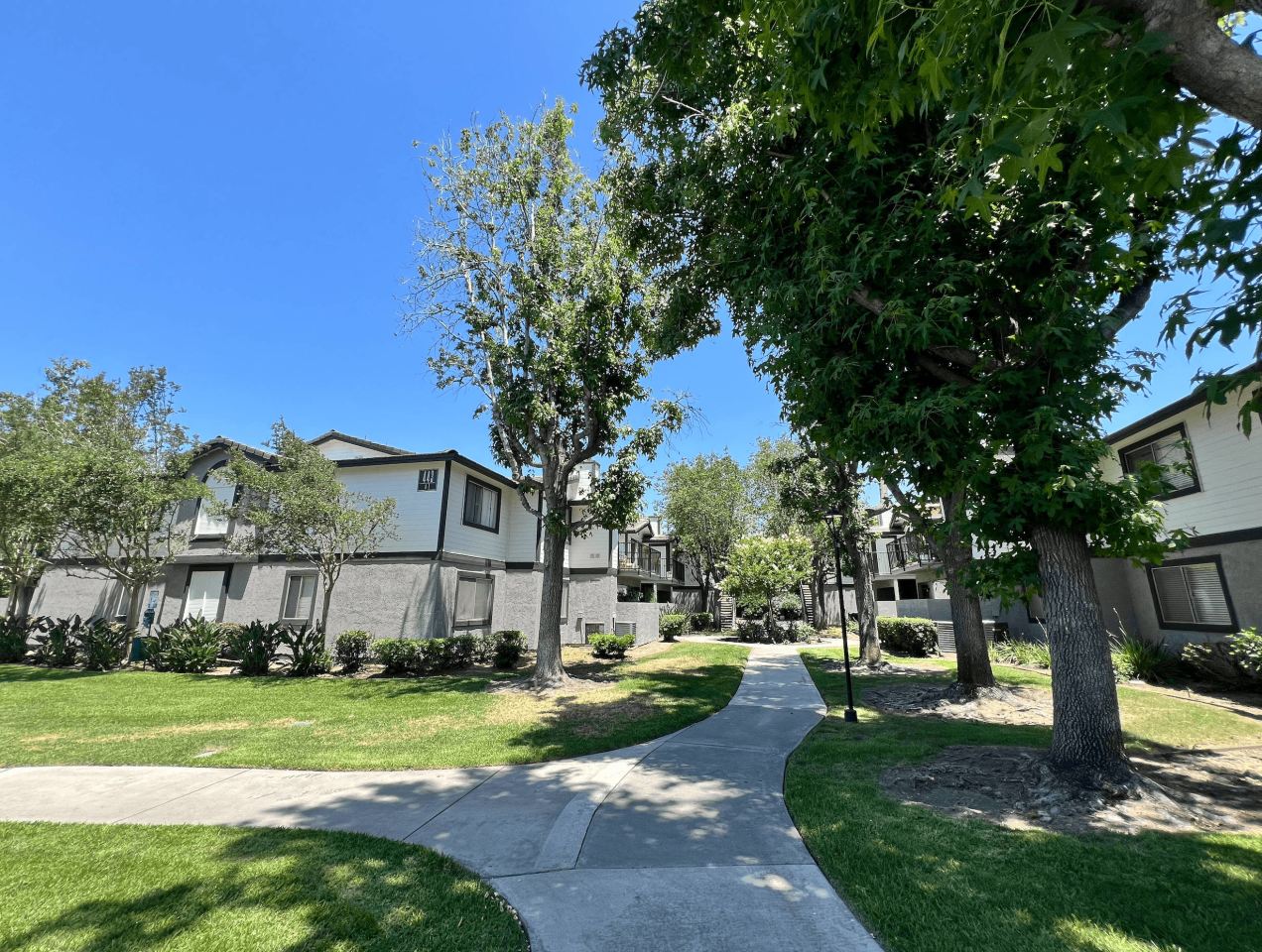Gladstone Ridge Image 26