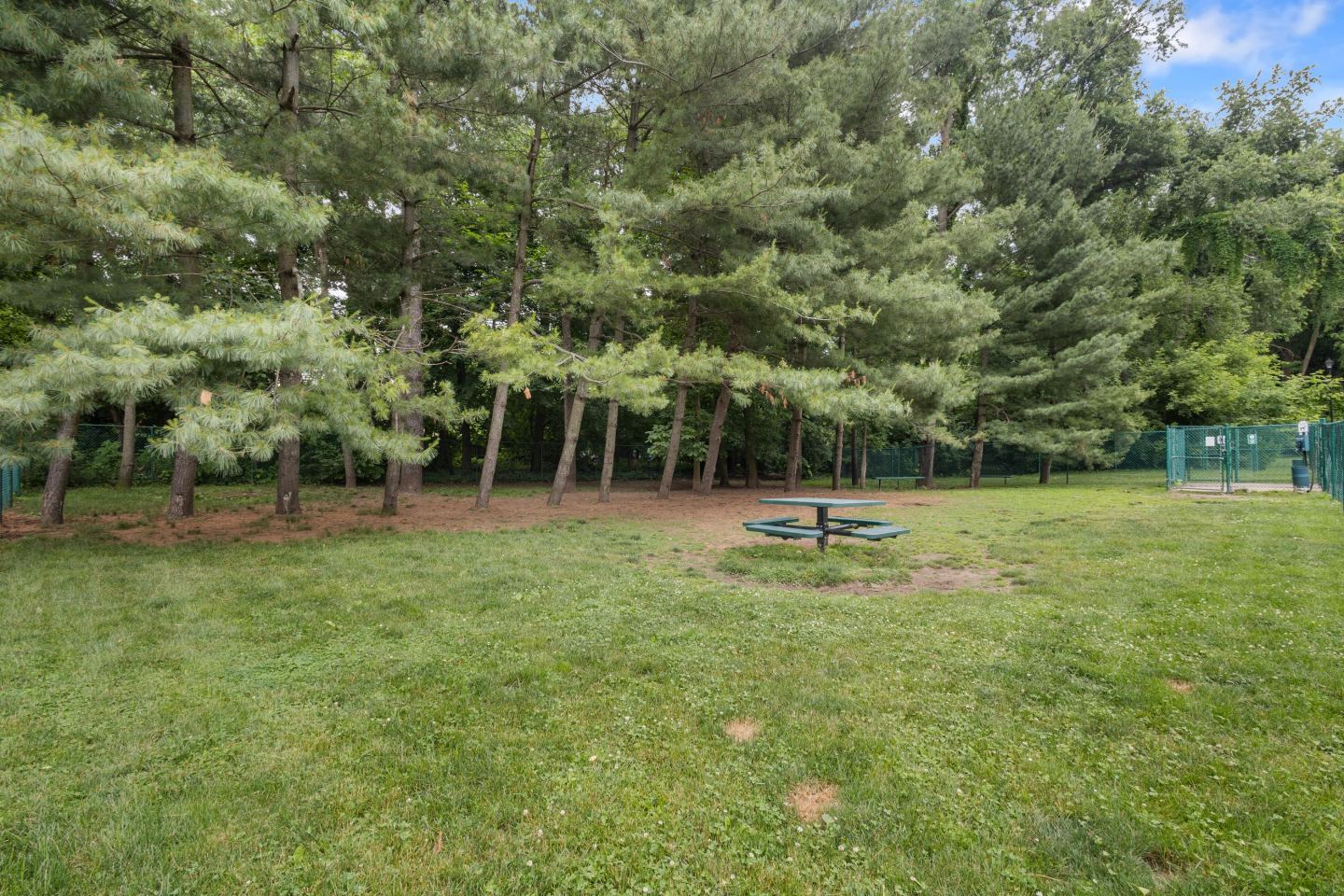 Wildwood Off Main Image 16