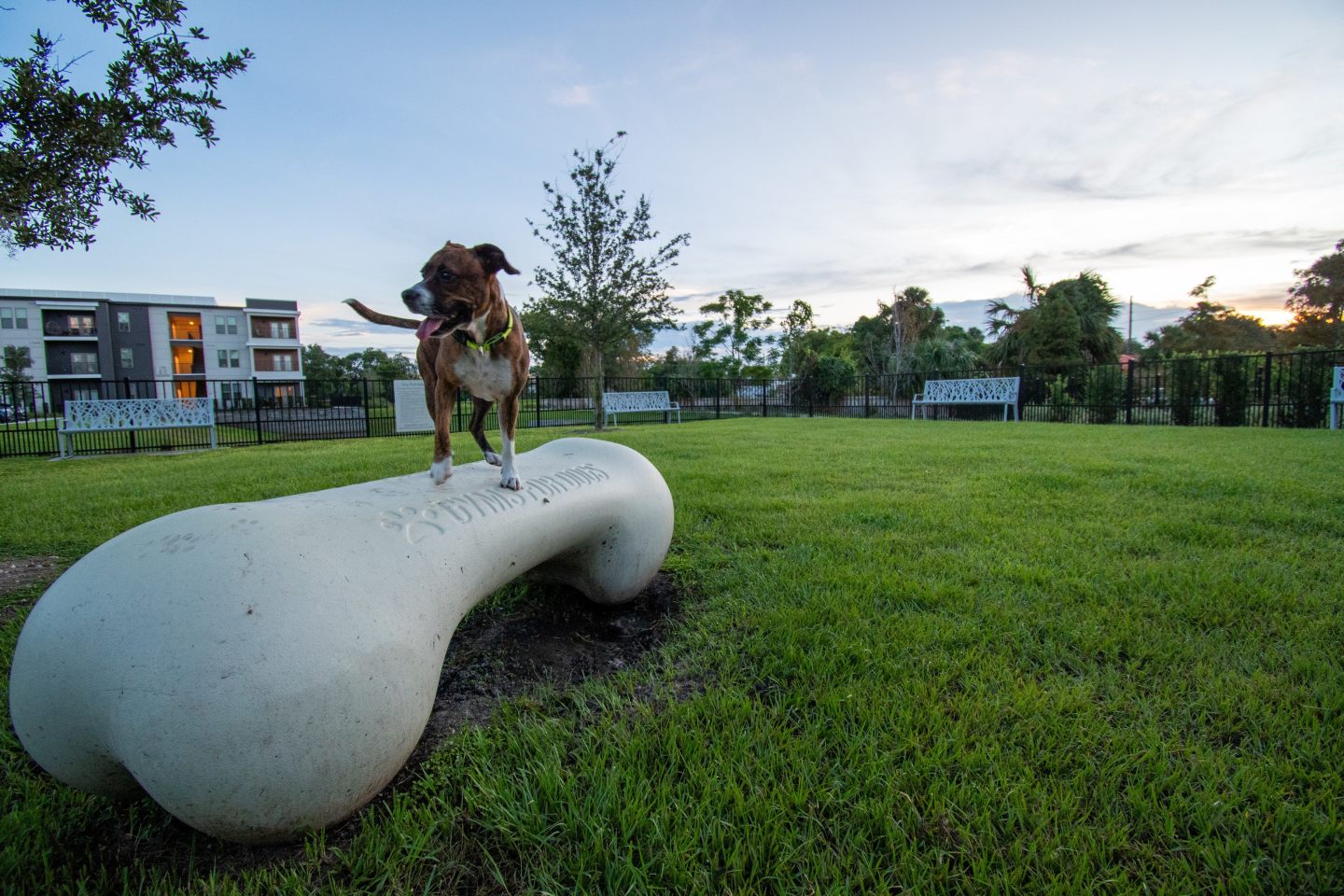 The Ellington at Oviedo Park Image 62