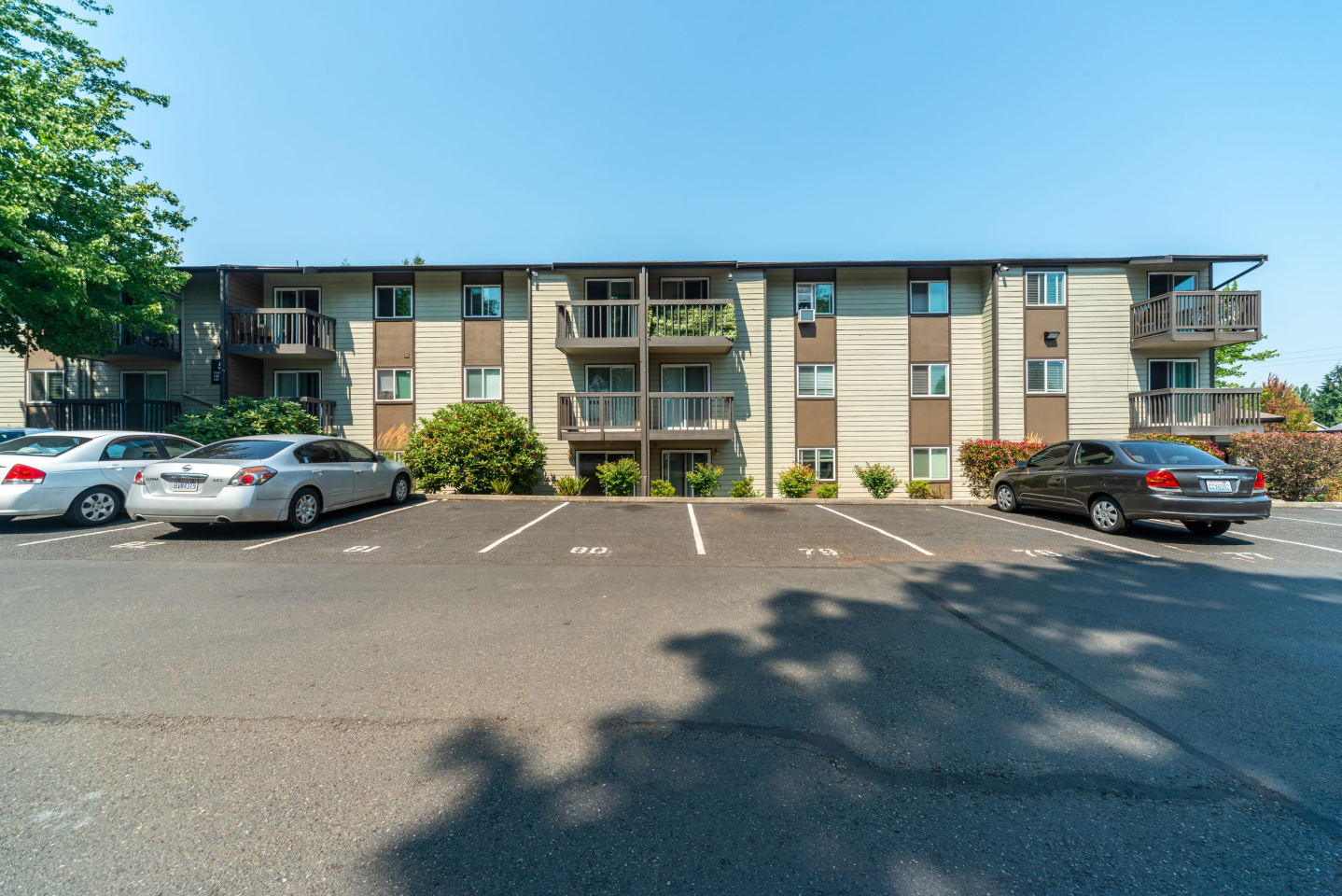 Terra Apartments Image 10