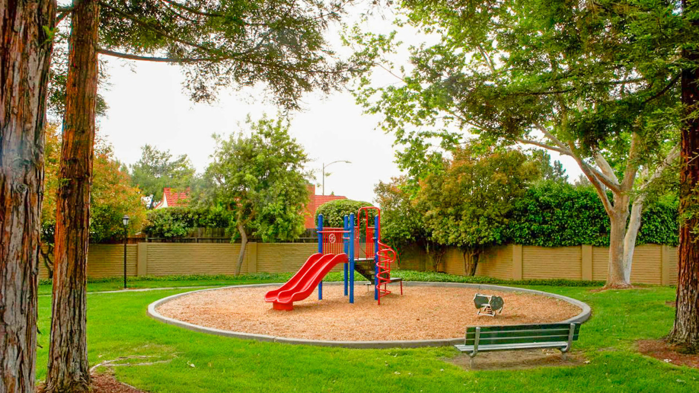 Verde Image 21