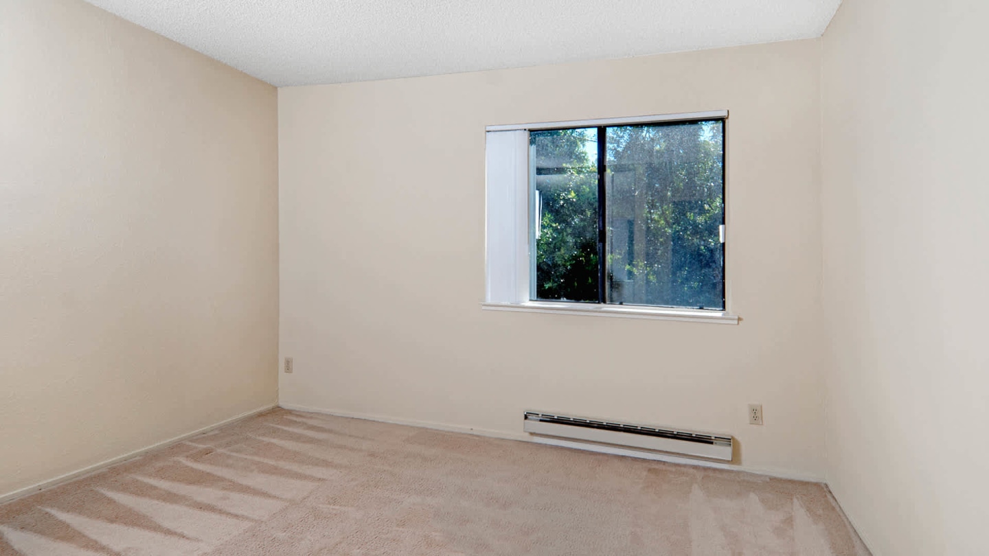Verde Image 14