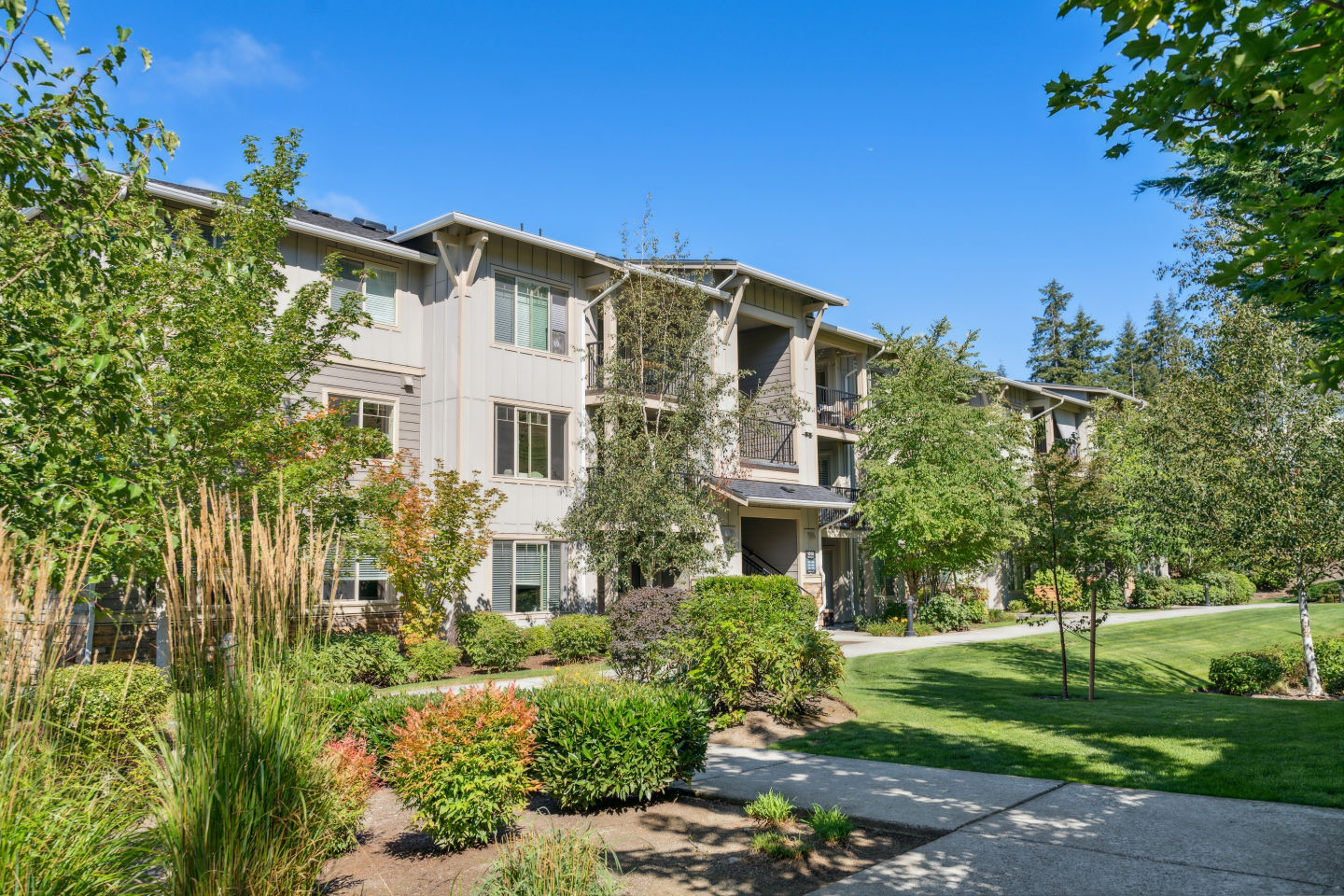 Vue Issaquah Image 57