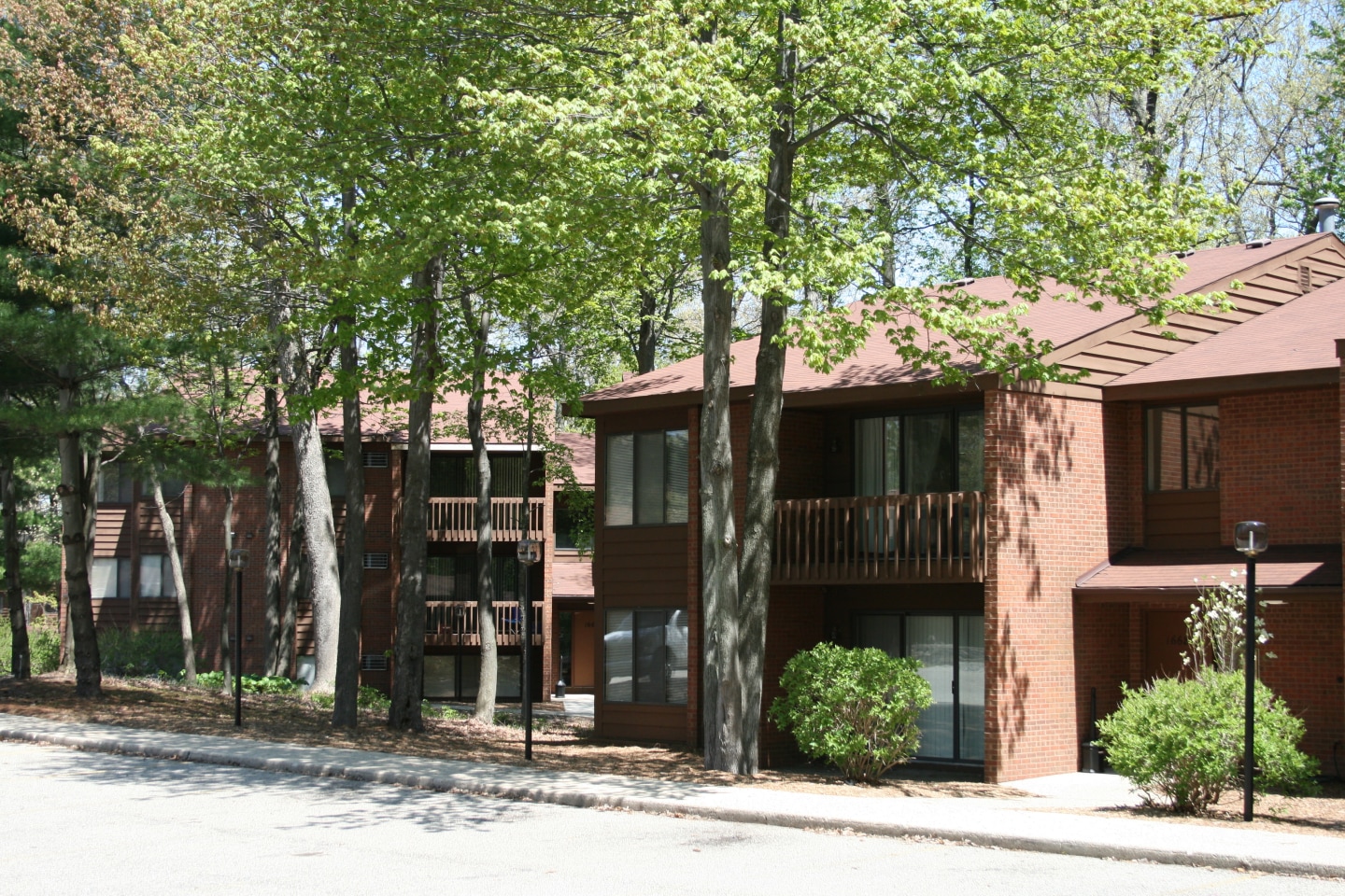 Deer View Image 35