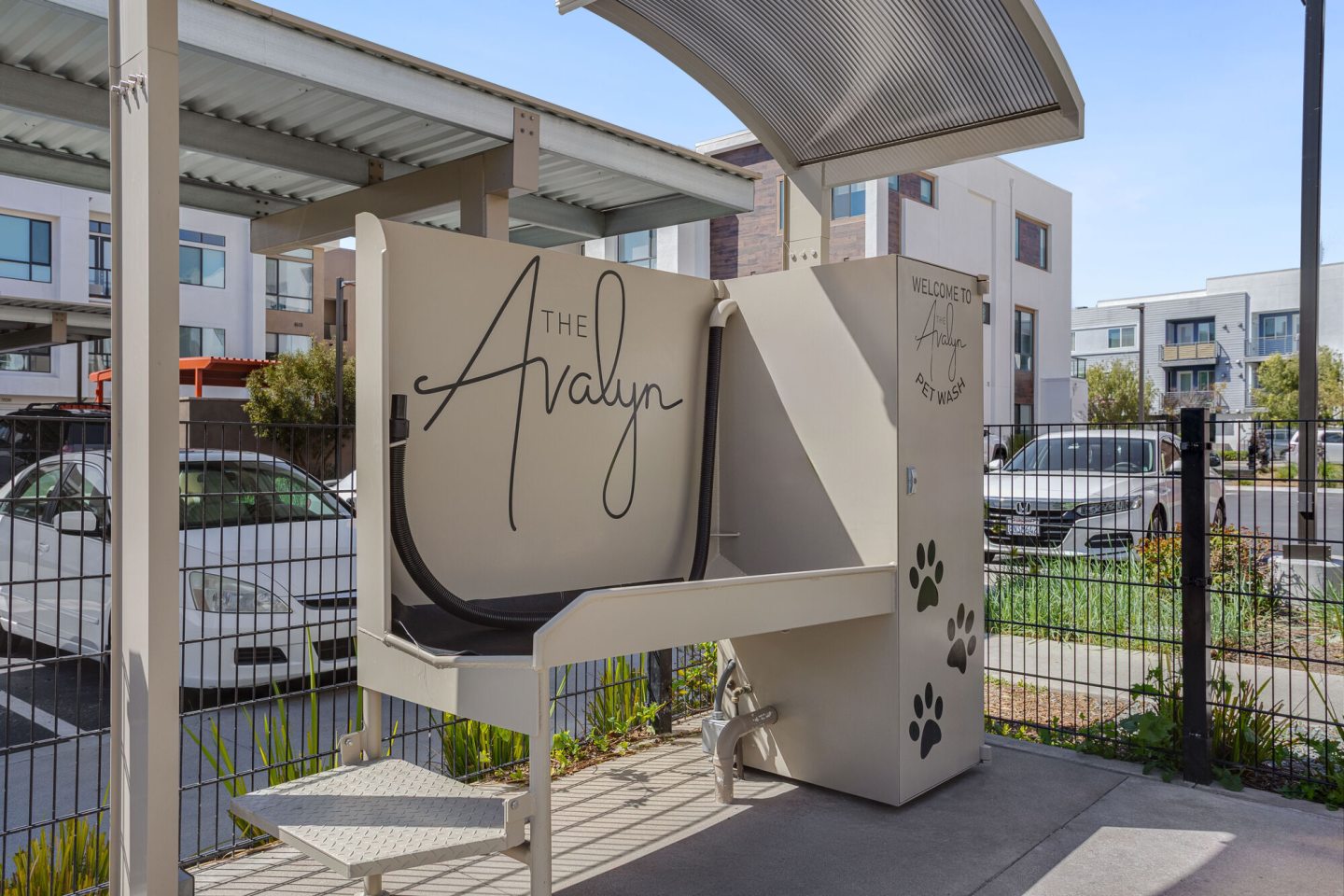 The Avalyn Image 66
