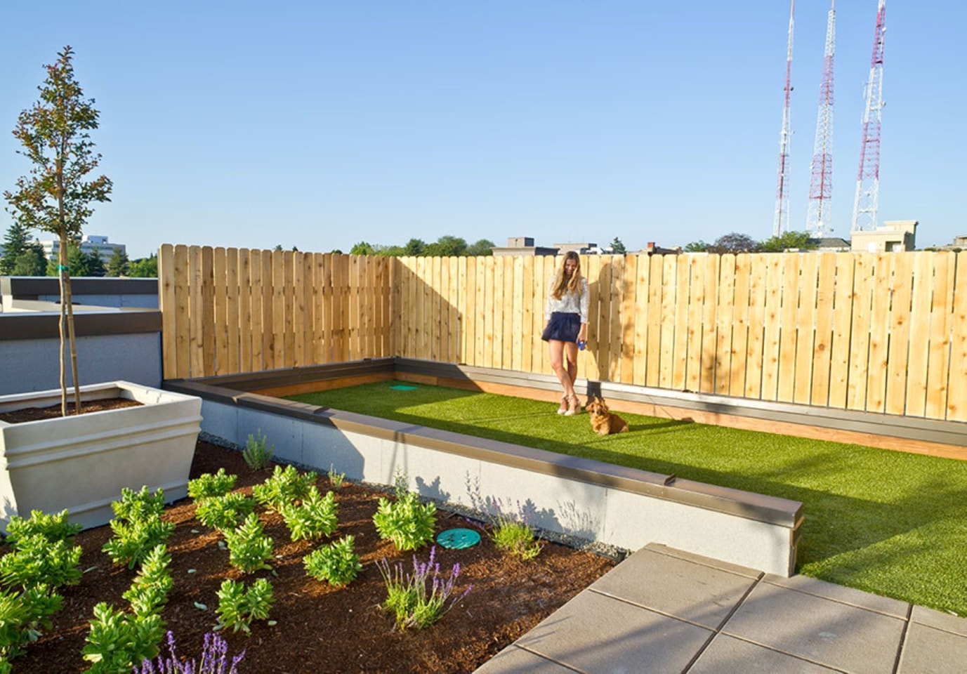 REO Flats Image 8
