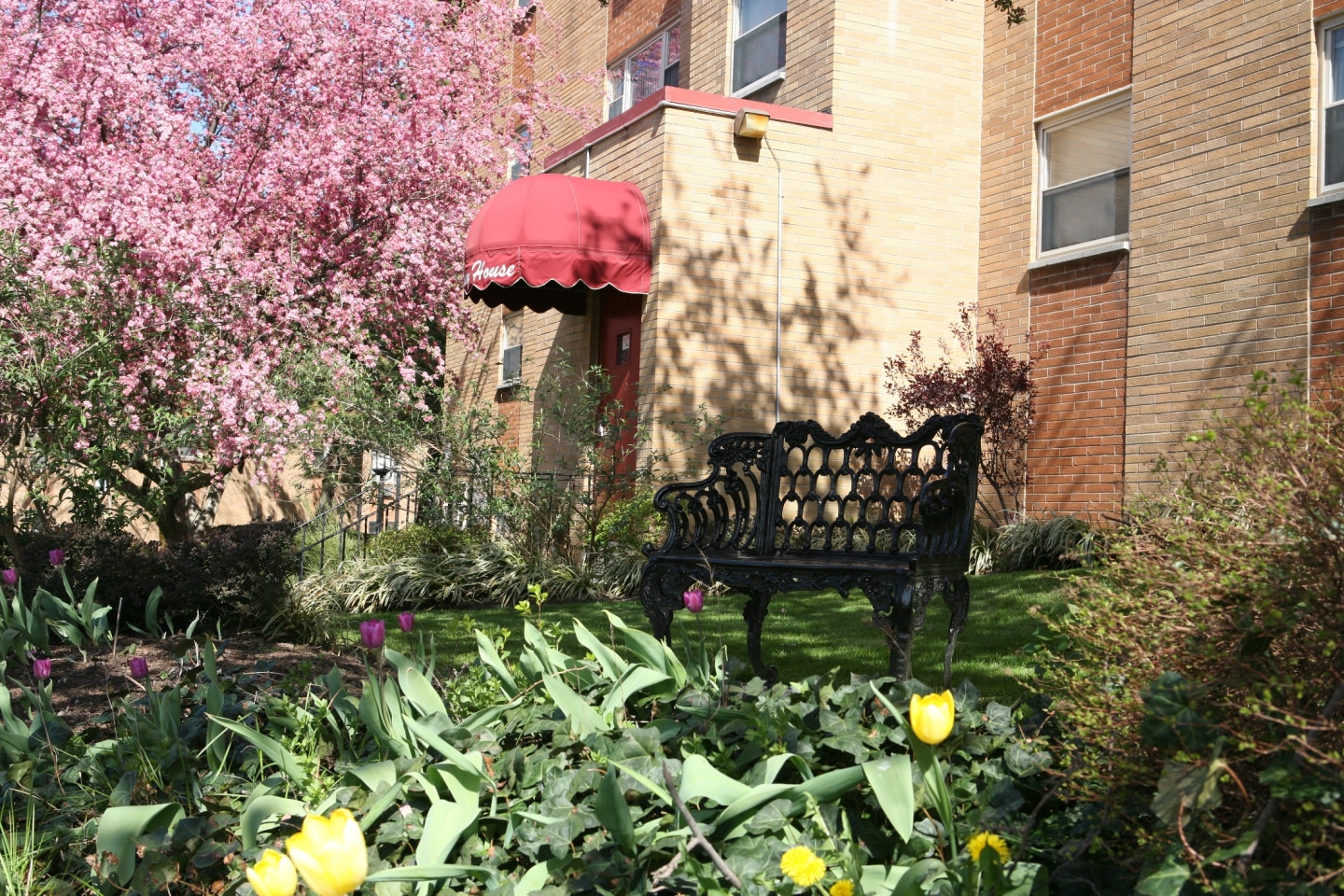 Bromley House Image 7
