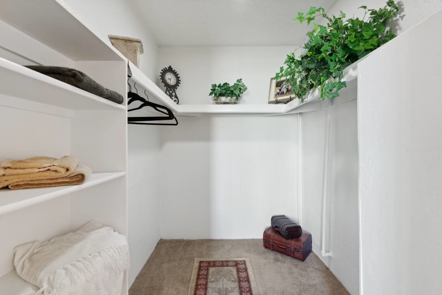 Shorebird Apartments Image 16