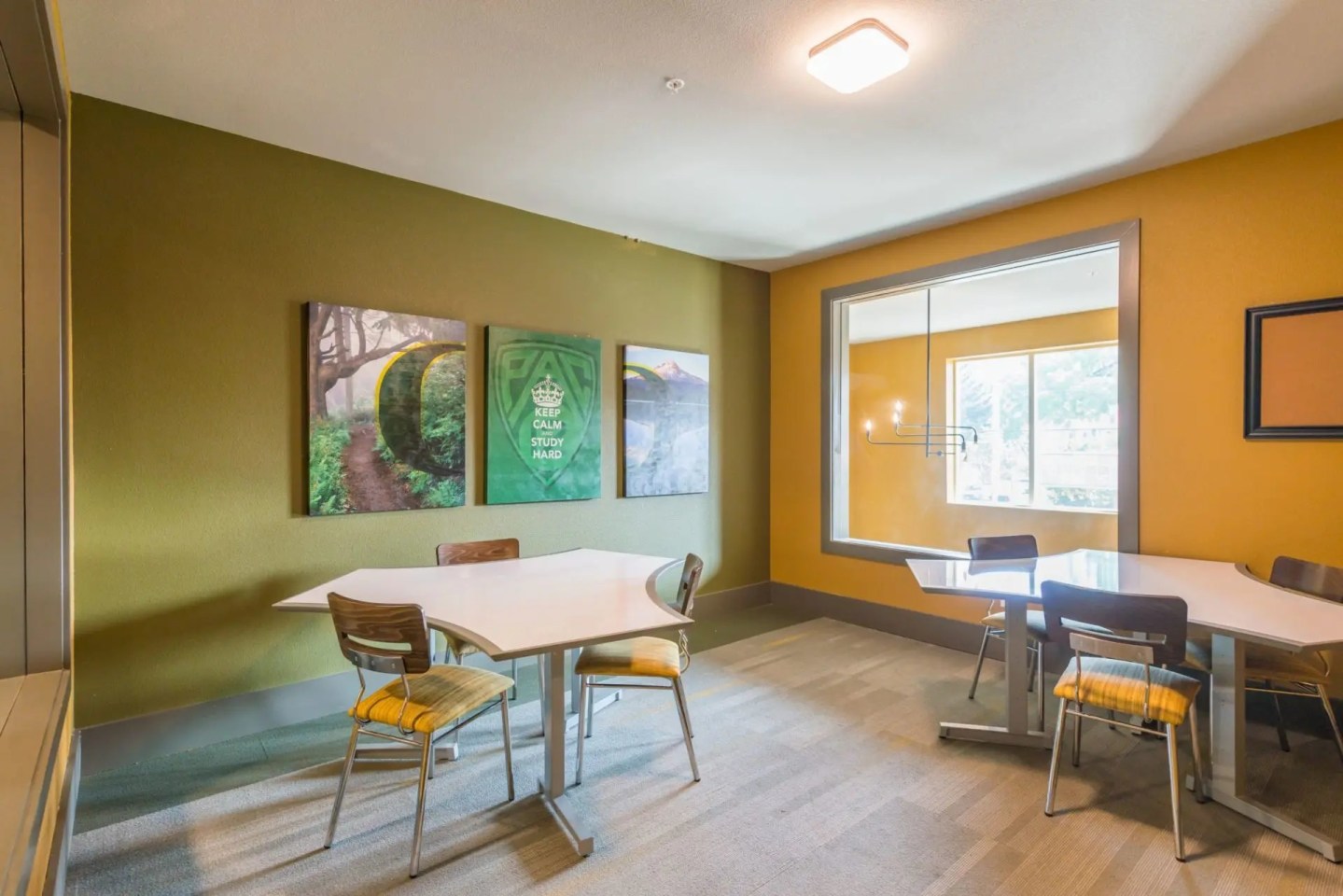 The Hayward Student Living Image 27