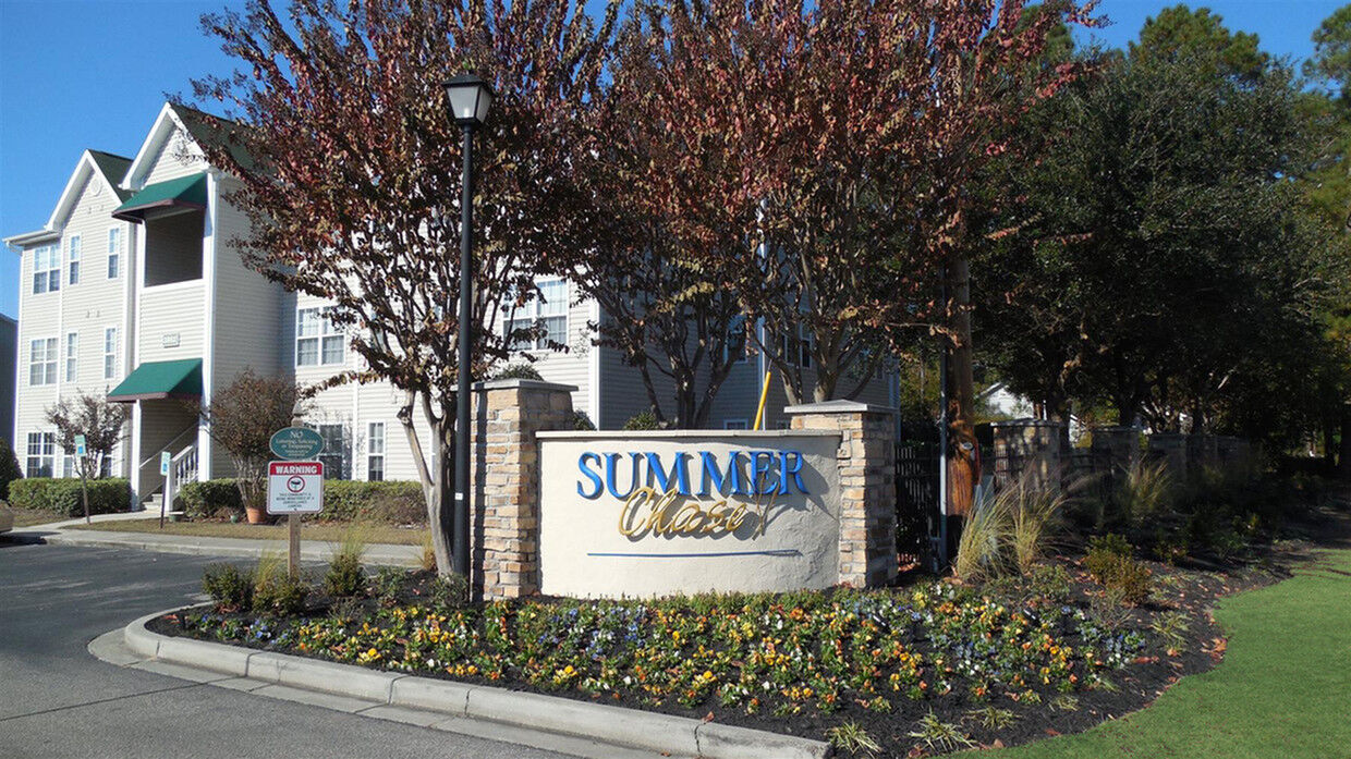Summer Chase Image 2