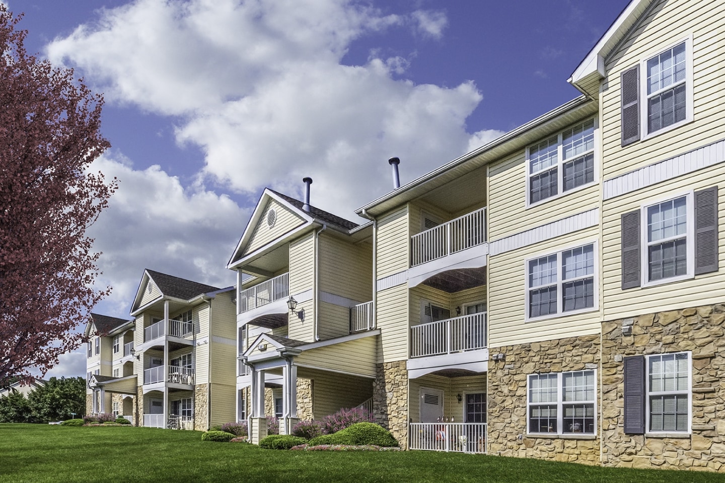 School Bell Apartments Image 11